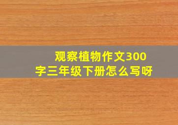 观察植物作文300字三年级下册怎么写呀