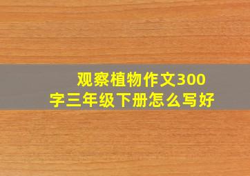 观察植物作文300字三年级下册怎么写好