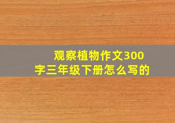 观察植物作文300字三年级下册怎么写的