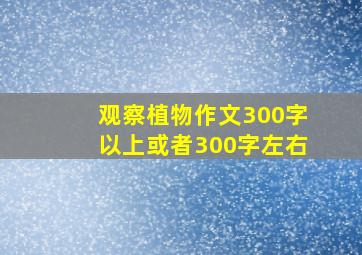 观察植物作文300字以上或者300字左右