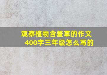 观察植物含羞草的作文400字三年级怎么写的