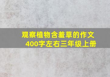 观察植物含羞草的作文400字左右三年级上册