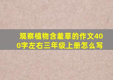 观察植物含羞草的作文400字左右三年级上册怎么写