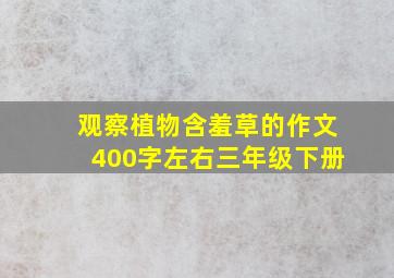 观察植物含羞草的作文400字左右三年级下册