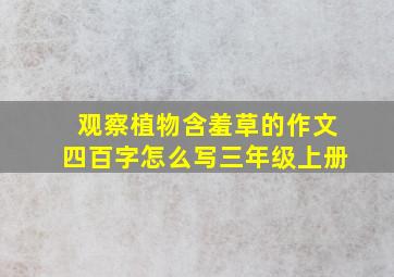 观察植物含羞草的作文四百字怎么写三年级上册