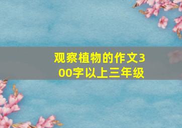 观察植物的作文300字以上三年级