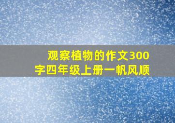 观察植物的作文300字四年级上册一帆风顺