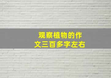 观察植物的作文三百多字左右