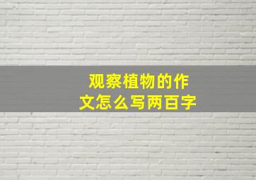 观察植物的作文怎么写两百字