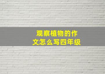 观察植物的作文怎么写四年级