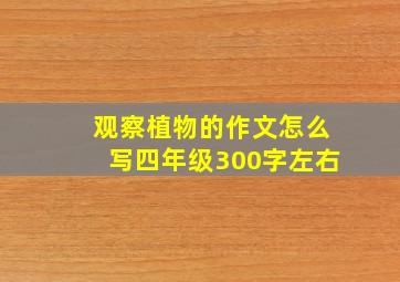 观察植物的作文怎么写四年级300字左右