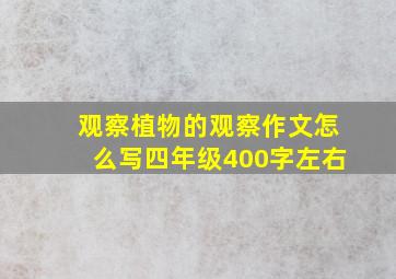 观察植物的观察作文怎么写四年级400字左右