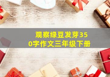 观察绿豆发芽350字作文三年级下册