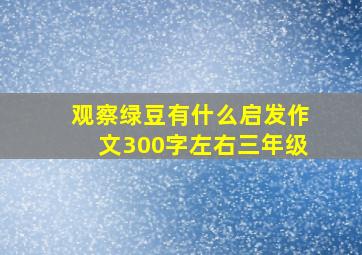 观察绿豆有什么启发作文300字左右三年级