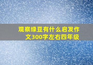 观察绿豆有什么启发作文300字左右四年级