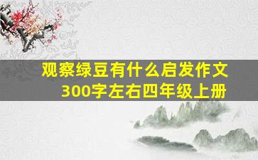 观察绿豆有什么启发作文300字左右四年级上册