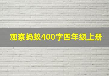 观察蚂蚁400字四年级上册