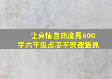 让真情自然流露600字六年级忐忑不安被猫抓