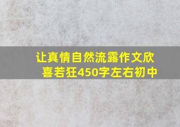 让真情自然流露作文欣喜若狂450字左右初中