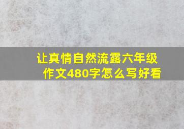 让真情自然流露六年级作文480字怎么写好看