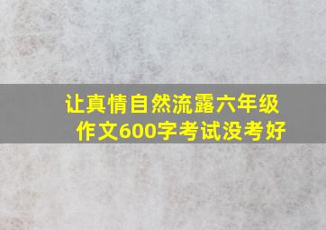 让真情自然流露六年级作文600字考试没考好