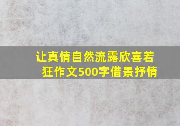 让真情自然流露欣喜若狂作文500字借景抒情