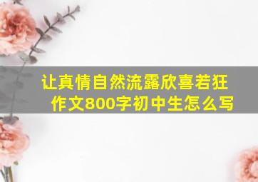 让真情自然流露欣喜若狂作文800字初中生怎么写