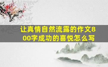 让真情自然流露的作文800字成功的喜悦怎么写