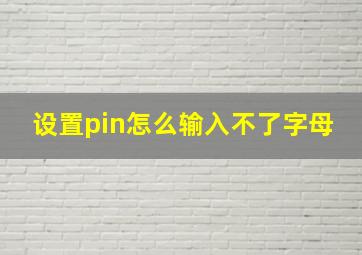 设置pin怎么输入不了字母