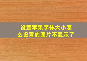 设置苹果字体大小怎么设置的图片不显示了