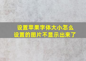 设置苹果字体大小怎么设置的图片不显示出来了