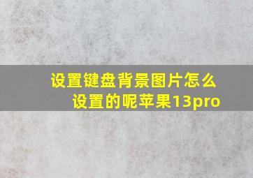 设置键盘背景图片怎么设置的呢苹果13pro