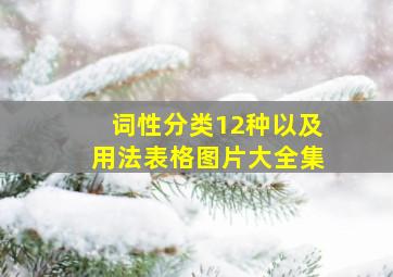 词性分类12种以及用法表格图片大全集