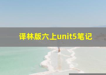 译林版六上unit5笔记