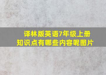 译林版英语7年级上册知识点有哪些内容呢图片