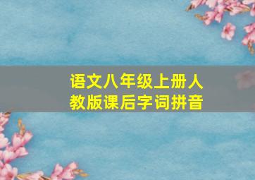 语文八年级上册人教版课后字词拼音