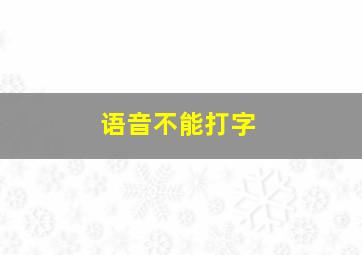 语音不能打字