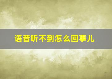 语音听不到怎么回事儿