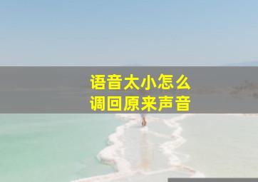 语音太小怎么调回原来声音