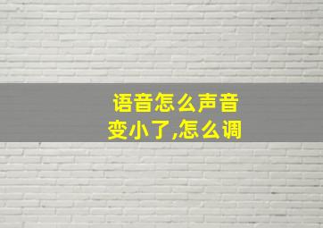 语音怎么声音变小了,怎么调