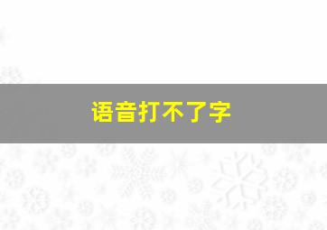 语音打不了字