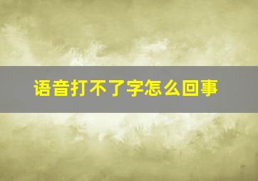 语音打不了字怎么回事