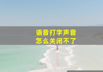 语音打字声音怎么关闭不了