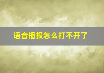 语音播报怎么打不开了