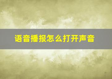 语音播报怎么打开声音