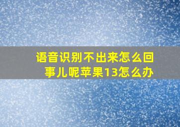 语音识别不出来怎么回事儿呢苹果13怎么办