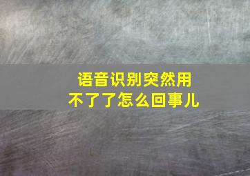 语音识别突然用不了了怎么回事儿