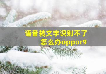 语音转文字识别不了怎么办oppor9