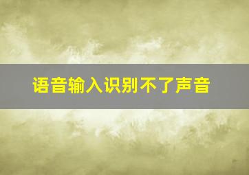 语音输入识别不了声音