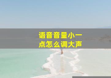 语音音量小一点怎么调大声